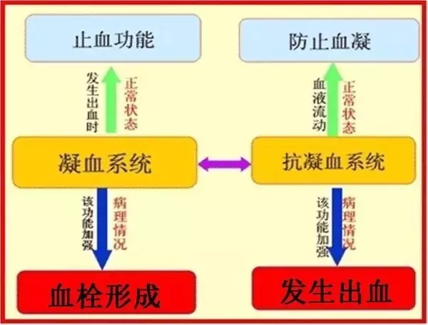 糖尿病患者的血栓从何而来？